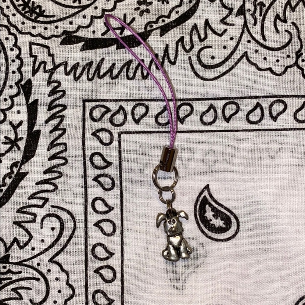 Key chain accessory